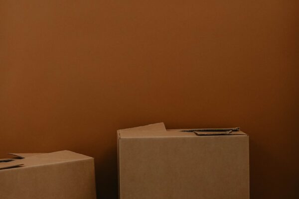 Comment bien choisir son box de stockage ? white cardboard box on brown wooden table